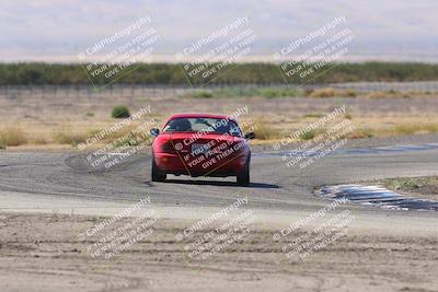 media/Oct-04-2025-OnGrid (Sat) [[44bd565ffa]]/Green Group/Grapevine/